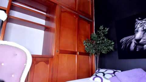 anahi_18 @ myfreecams on 20240117
