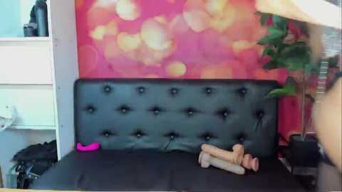 ladyagata @ myfreecams on 20240118