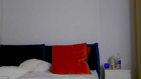 naiasummer @ myfreecams on 20240118