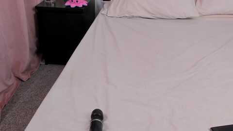 eva_sinxxx @ myfreecams on 20240119