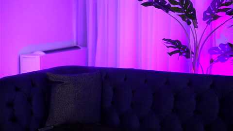 evasunderland @ myfreecams on 20240119