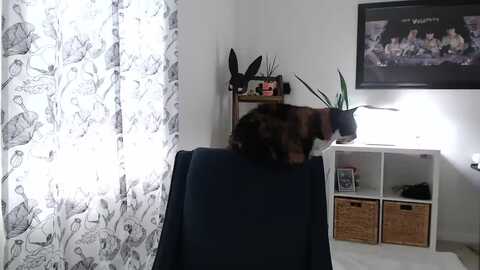 sarah_stark @ myfreecams on 20240119