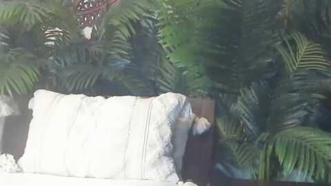 annabelllle @ myfreecams on 20240120