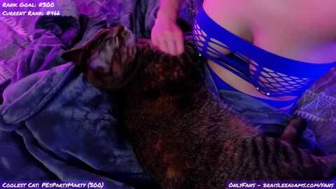 braisleeadams @ myfreecams on 20240120