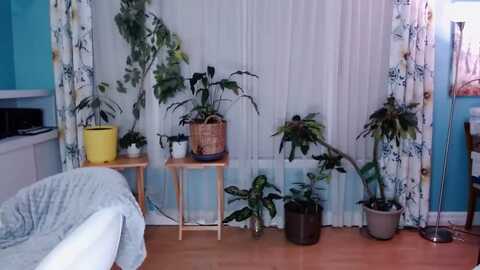 kellyheart @ myfreecams on 20240120