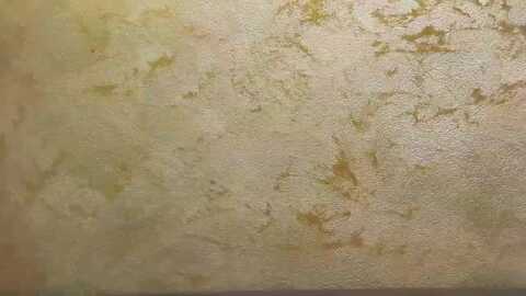 radiance @ myfreecams on 20240120