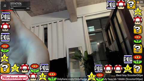 nintend0pe @ myfreecams on 20240121