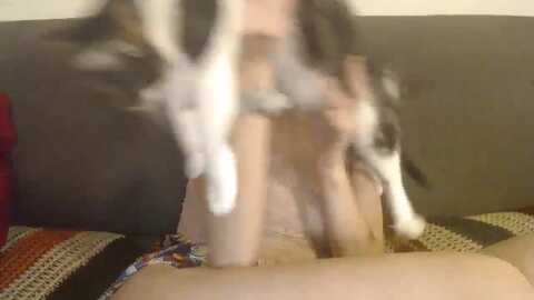 alicefunker @ myfreecams on 20240123