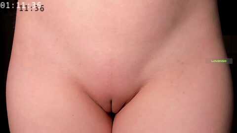 elysi_ @ myfreecams on 20240123