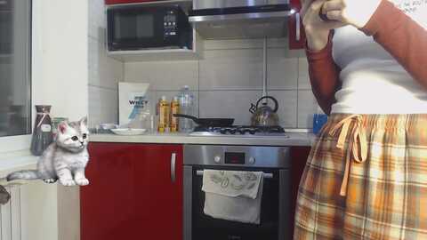 coconut_i @ myfreecams on 20240126