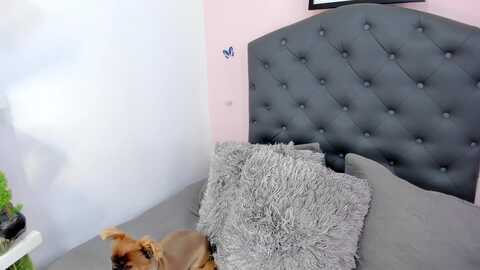 whitneyr @ myfreecams on 20240126
