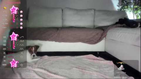 littlewetgirl @ myfreecams on 20240127