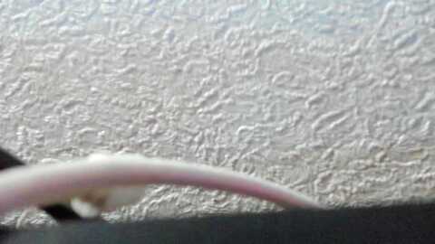 iam_sasha @ myfreecams on 20240128