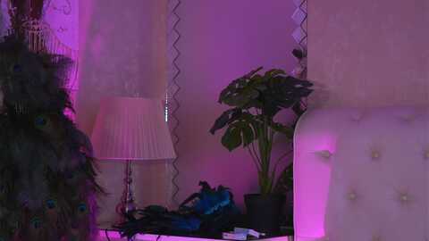 nattynatty @ myfreecams on 20240129