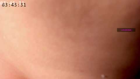 elysi_ @ myfreecams on 20240130