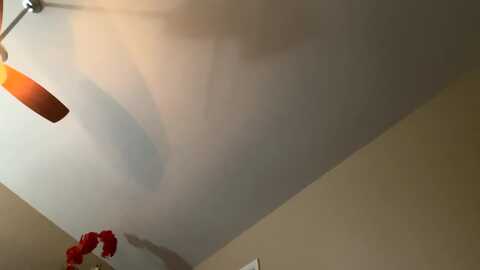 lexi_lavender