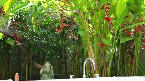 katyerave @ myfreecams on 20240131