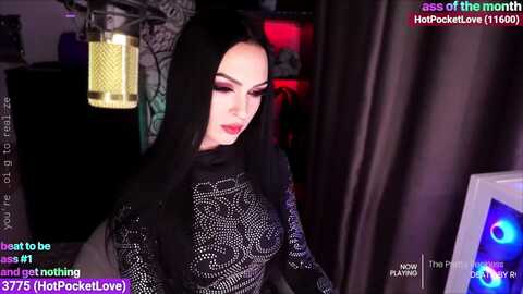 modestlady @ myfreecams on 20240131