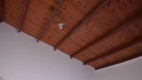 tatianabrownn @ myfreecams on 20240131