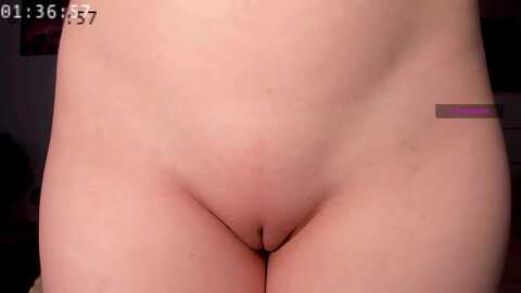elysi_ @ myfreecams on 20240201
