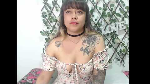 sammy_juteux @ myfreecams on 20240202