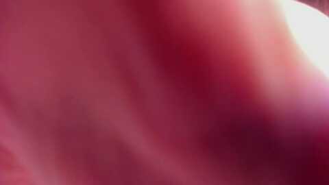 alicexsweet @ myfreecams on 20240203