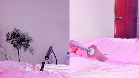 carmela__cute @ myfreecams on 20240203