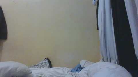 exoticlulu @ myfreecams on 20240203