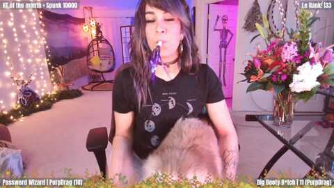 guestwifi @ myfreecams on 20240203