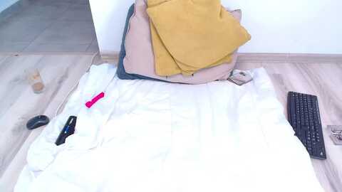 lexy_black @ myfreecams on 20240203