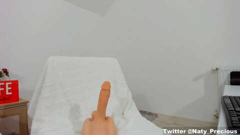 nattyprecious @ myfreecams on 20240203