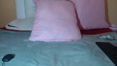 slimthick123 @ myfreecams on 20240203