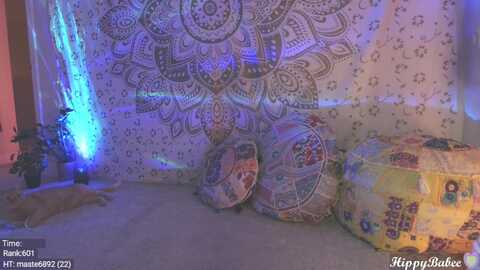 hippybabee @ myfreecams on 20240204