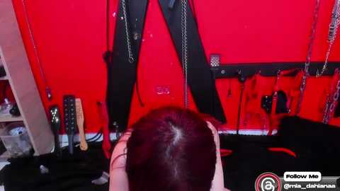 mia_xxxxx @ myfreecams on 20240204
