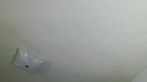 bella_springs @ myfreecams on 20240206