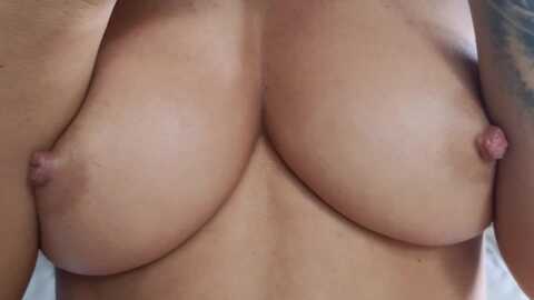 evelinarosse @ myfreecams on 20240207