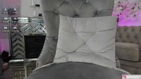 aadonawet @ myfreecams on 20240208