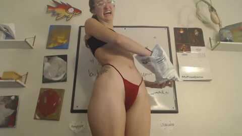 alicefunker @ myfreecams on 20240209