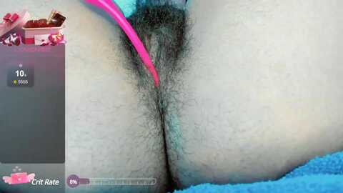 dalila2arab @ myfreecams on 20240210