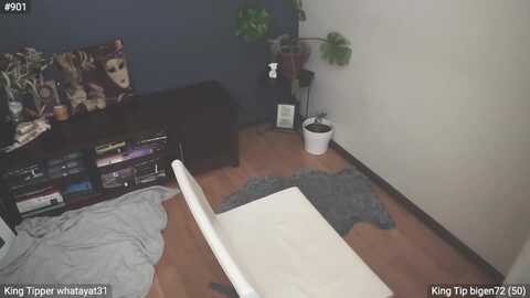 effytudor @ myfreecams on 20240210