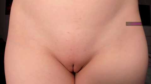 elysi_ @ myfreecams on 20240210