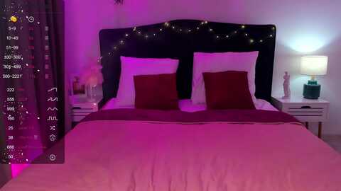 almagrace @ myfreecams on 20240212