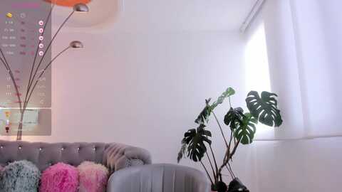 cloehangel @ myfreecams on 20240212