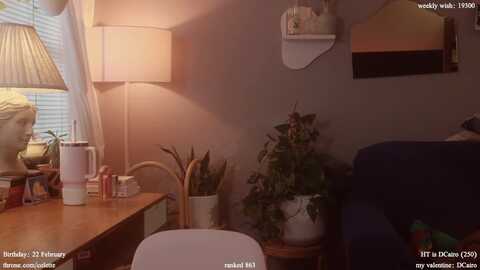 femme @ myfreecams on 20240212