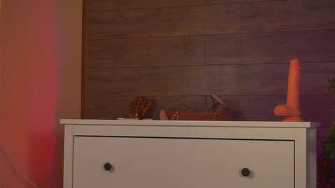 roshen_amira @ myfreecams on 20240212