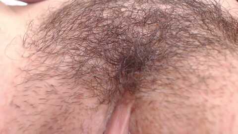 sweetpulse @ myfreecams on 20240212