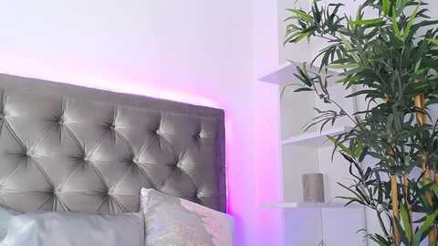 alma_whiteee @ myfreecams on 20240213