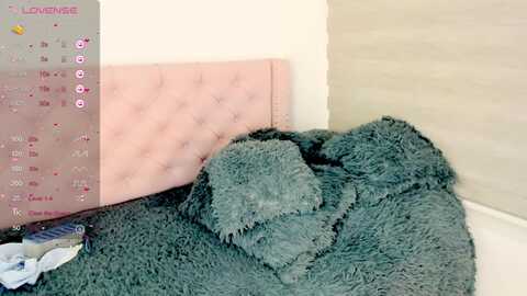 natalia_doll @ myfreecams on 20240213