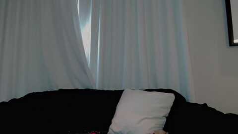 blakebexley @ myfreecams on 20240214