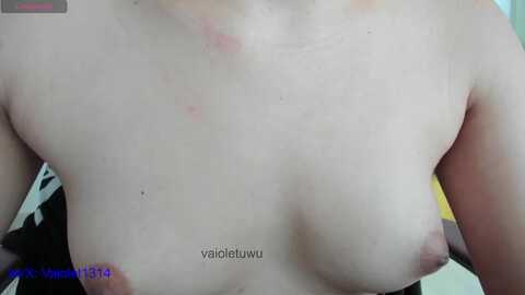 vaiolet1314 @ myfreecams on 20240214